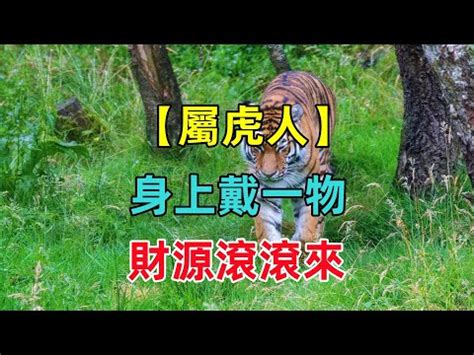 屬虎招財|【屬虎適合戴什麼】屬虎必備！戴上旺運轉吉的幸運聖物！